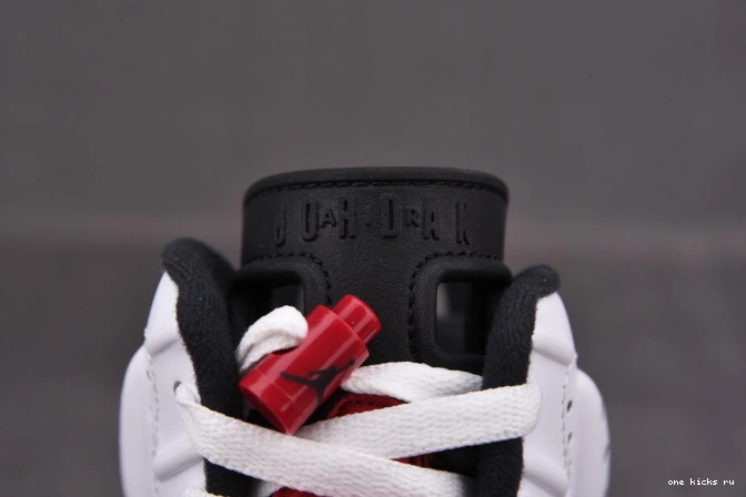 Rep Onekick 'CARMINE' 2021 RETRO 6 AIR JORDAN CT8529-106 0821
